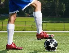 传奇球星,罗深情告白,弗格森爵士,Hao,BoSports,好博体育,体育直播,体育赛事,APP下载,官方网地址