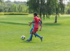 三年运营,民资控股高,铁线路进展,Hao,BoSports,好博体育,体育直播,体育赛事,APP下载,官方网地址